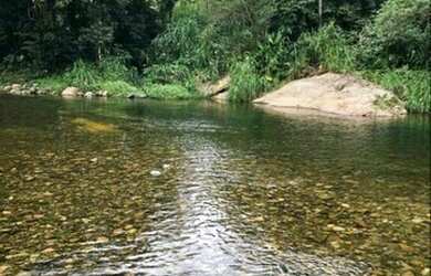 Imagem 2: Chácara à venda no bairro Pirabeiraba (Pirabeiraba) - Joinville/SC