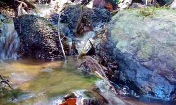 Imagem 3: Sítio a Venda em Domingos Martins