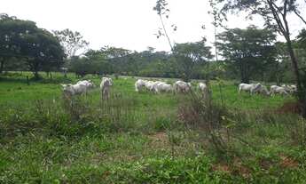 Imagem 6: Excelentes Fazendinhas Planas Registradas Financiadas Com Água Luz Lagoa Cerca na região S
