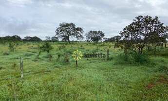 Imagem 3: Fazenda à venda, 127 Hectares em Paraíso do Tocantins