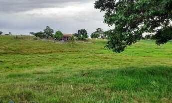 Imagem 4: Sitio 36,5 alqueires Jaru