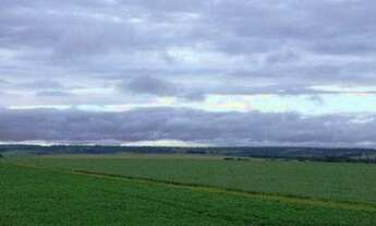 Imagem: Fazenda em Primavera do Leste à venda