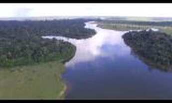 Imagem 6: Fazendas em Rondônia para lavoura