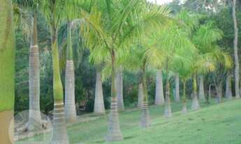 Imagem 4: Chácara com 4 dormitórios à venda, 24000 m² por R$ 1.700.000 - Sapé I - Caçapava/SP