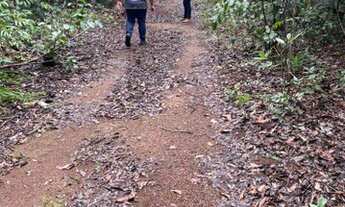 Imagem 4: Fazenda de 560 Hectares em Cristalândia/TO