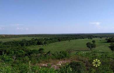 Imagem 4: Fazenda à venda, 220 Hectares - Zona Rural - Centenário/TO