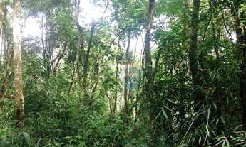 Imagem 3: Lote 5.000m² - Jardins de Petrópolis