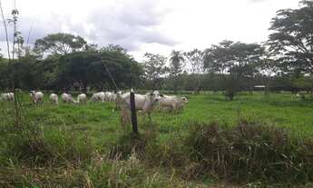 Imagem: Fazendinhas Planas Registradas Com Água