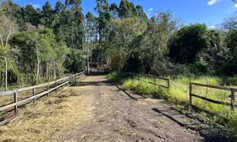 Imagem 4: Sítio na parada 107 da RS 020