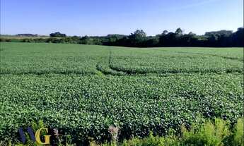 Imagem 5: Terreno Rural para Venda em Balsa Nova, Mineiros