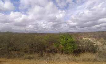 Imagem 5: Fazenda para venda próxima a Quixeramobim, 2500 hectares, Ceará