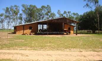 Imagem 6: EXCELENTE FAZENDA NO MUNI. DE NOVA LACERDA-MT