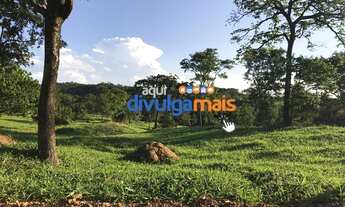 Imagem 15: Fazenda a venda de 68 alqueires para pecuária na região de Caldas Novas GO