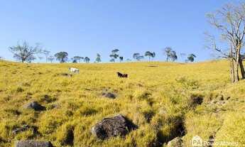 Imagem 5: Sítio à venda, 446000 m² por R$ 850.000,00 - Zona Rural - Caldas/MG