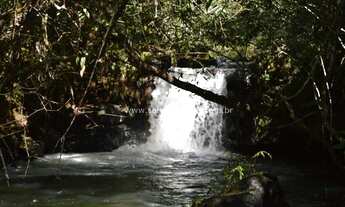 Imagem 3: EXELENTE FAZENDA NO MUNI. DE PRIMA VERA -MT