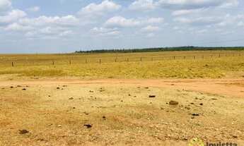 Imagem 6: Fazenda à venda 1.800 Hectares em Presidente Kennedy/TO