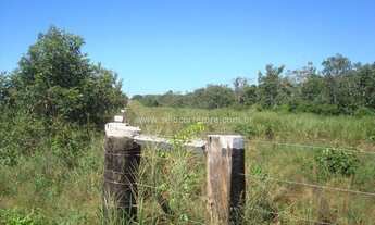 Imagem 3: EXCELENTE FAZENDA NO MUNI. DE NOVA LACERDA-MT