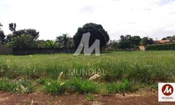 Imagem 3: Terreno (terreno normal