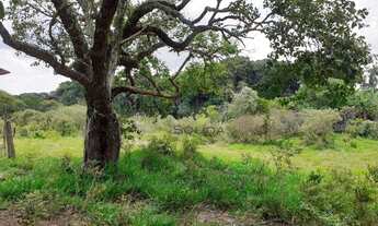 Imagem 4: Área à venda, 40000 m² por R$ 2.800.000 - Pinhal - Jarinu/SP