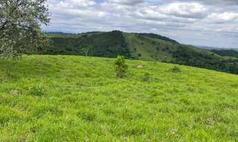 Imagem 4: Terrenos com lago e Patinhos