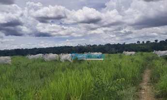 Imagem 7: Fazenda a venda - área rural