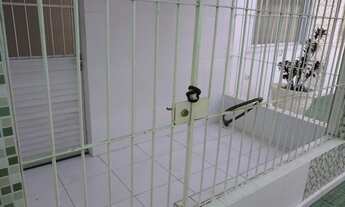 Imagem: Apartamento para aluguel com 80 metros quadrados