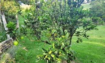 Imagem 5: Maravilhosa chácara em Pinhalzinho com 6.000 m² casa com 06 dormitórios, churrasqueira, pi