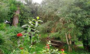 Imagem 2: Casa com quintal enorme 3000m2 com 4 quartos (1 suíte) em Vargem do Bom Jesus - Florianópo