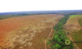 Imagem 6: Fazenda à venda 850 Ha - Presidente Kennedy/TO