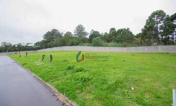 Imagem 4: Terreno à venda, 322 m² por R$ 250.000,00 - Colônia Faria - Colombo/PR