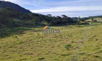 Imagem 5: Chácara - Campo Alegre/SC