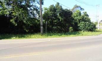 Imagem 2: Terreno para Venda em Quatro Barras, Jardim Orestes Thá