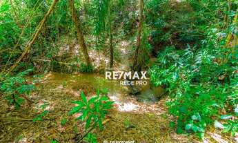 Imagem 2: Chácara para venda com 20.340m2 com plantação de goiabas em Valinhos