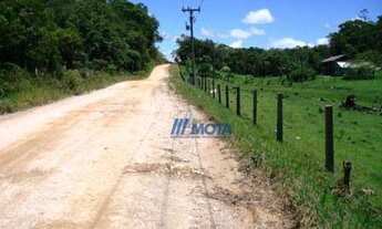 Imagem 7: Sítio Guaraqueçaba