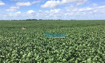 Imagem: Fazenda a venda - área rural