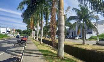 Imagem 3: Lindo terreno com topografia plana