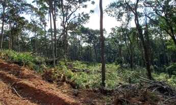 Imagem 2: 28 Lotes Planos de 500m² em Ibiúna-SP BDBNVD