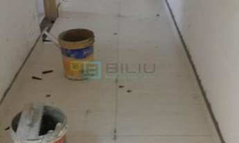 Imagem 6: São Paulo - Apartamento Padrão - Vila Roque