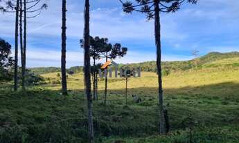 Imagem 2: Chácara - Campo Alegre/SC