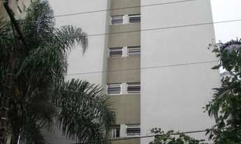 Imagem 2: SãO PAULO - Padrão - PERDIZES