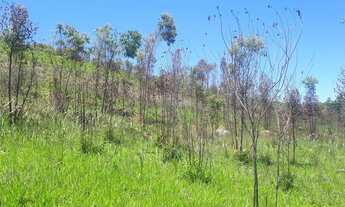 Imagem 3: Terreno a venda com 1000M² com lago para pesca