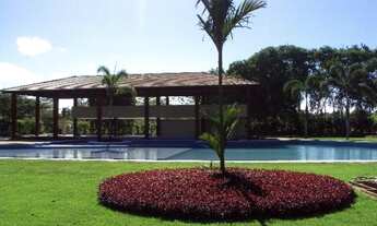 Imagem 3: Condomínio em Aldeia, Terra Viva de Aldeia, Um espetáculo