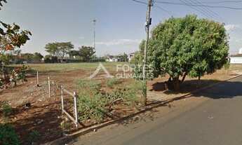 Imagem 6: RIBEIRãO PRETO - Padrão - Ipiranga