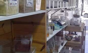 Imagem: Ponto comercial/Loja/Box para aluguel com