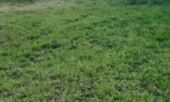 Imagem 2: Terreno Condomínio Novo Mundo