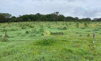 Imagem 6: Fazenda à venda, 127 Hectares em Paraíso do Tocantins