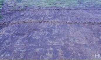 Imagem 3: Fazenda Para Lavoura Safra e Safrinha