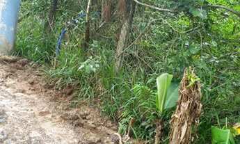 Imagem 7: Terrenos com infraestrutura inclusa