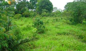 Imagem 3: Fazenda em Nossa Senhora do Livramento à venda, 4870000 m² por R$ 6.000.000 - Zona Rural