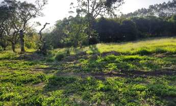 Imagem 13: 500m² - Nazaré Paulista - São Paulo!!!